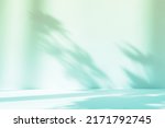 Abstract gradient green studio background for product presentation. Empty room with shadows of window and flowers and palm leaves . 3d room with copy space. Summer concert. Blurred backdrop.