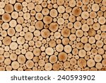 Round Teak Wood Stump Background