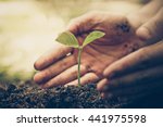 Hands of farmer growing and nurturing tree growing on fertile soil with green and yellow bokeh background /nurturing baby plant / protect nature / Earth day concept