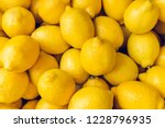 Ripe Yellow Lemons Close-up Background Or Texture. Lemon Harvest, Many Yellow Lemons.
