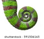 Chameleon Tail In Spiral ...