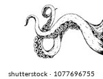 tentacles octopus drawing on... | Shutterstock .eps vector #1077696755