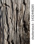 Small photo of A close up of a rotter timber post of the Port Noarlunga jetty in south australia on 23rd June 2019