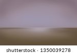 empty studio background  | Shutterstock . vector #1350039278
