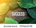 success    green leaf concept... | Shutterstock . vector #559663198