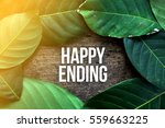 happy ending   green leaf... | Shutterstock . vector #559663225