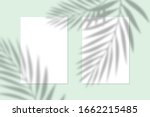 vector mock up of white blank... | Shutterstock .eps vector #1662215485