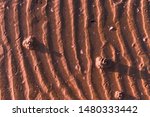 Small photo of Footprints in the sand from hermit crab after a storm. Sea and sand beeg at sunset. Sunlight and promenade. Free space for text