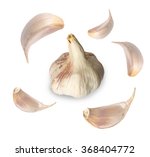 Garlic Head With Garlic Cloves...