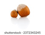 Small photo of Hazelnut. Fresh organic filbert. Brown hazelnut filbert autumn background concept. Close up.