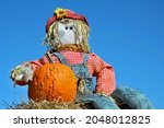 Homemade Scarecrow Holding A...