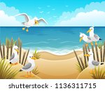 Scenery With Seagulls On Beach...