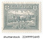 Bulgaria   1919  An 1 Stotinka...