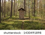 Wooden toilet in the forest / pine grove.