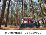 The Camping Tent In The Pine...