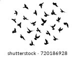black birds flying isolated on... | Shutterstock .eps vector #720186928