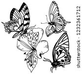 butterfly and flower hand drawn ... | Shutterstock .eps vector #1232361712