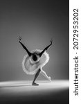 Small photo of ballet. classical ballerina dance. Classical ballet performed by a dancer on stage
