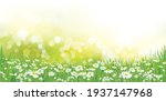 vector summer nature ... | Shutterstock .eps vector #1937147968