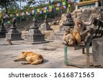 Monkey Temple  Swayambhu Maha...