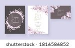beautiful roses invitation card ... | Shutterstock .eps vector #1816586852