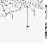 black spider and torn web... | Shutterstock .eps vector #738692332