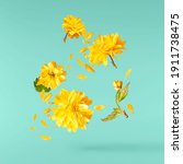 Small photo of A beautiful image of sping yellow dandelion flowers flying in the air on the pastel turquoise background. Levitation conception. Hugh resolution image