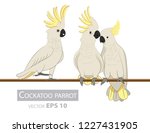 parrots. cackatoo. isolated... | Shutterstock .eps vector #1227431905
