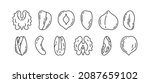 nut bundle. doodle vector food... | Shutterstock .eps vector #2087659102