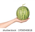 hand holding Watermelon isolated on white background