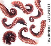 Small photo of Set of octopus tentacles isolated on white background.