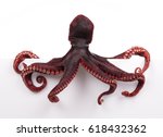octopus wiggling isolated on... | Shutterstock . vector #618432362