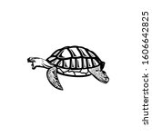 sea turtle  vector illustration ... | Shutterstock .eps vector #1606642825