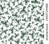 clover watercolor green herbal... | Shutterstock . vector #1903724488