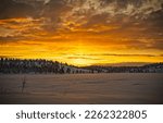 Small photo of Winter dawn in a snowy field. Winter sunrise sky. Winter snow scene at dawn. Beautiful sunrise in winter snow landscape
