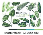 tropical palm leaves and ... | Shutterstock .eps vector #619055582