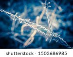 Frozen Barbed Wire. Close Up Of ...