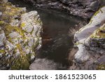 Small photo of Mountain river flowing through the narrow canyon with missive, colorful rocks covered by golden, sunlit moss during autumn