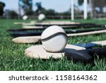 Small photo of Slither on top of a hurl during hurling practice on a field