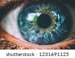 Beautiful macro photo of human eye, iris, pupil, eye lashes, eye lids.