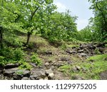 Small photo of This image content the picture of forest and stones. I hereby confirm that picture has taken by me only.
