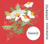 illustration chamomile flower... | Shutterstock .eps vector #339098702