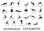 Popular Yoga Poses...