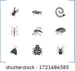 Beetle Icon Set And Stag Beetle ...