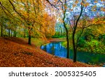 Autumn River Landscape. Forest...