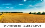 Panorama of an agricultural...