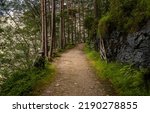 Small photo of Trail path in woods. A trail in the forest