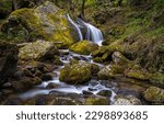 Small photo of The water of the stream flows over mossy stones. Forest stream waterfall. Waterfall stream on mossy rocks. Mossy forest waterfall stream