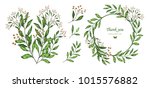 botanical watercolor collection.... | Shutterstock . vector #1015576882