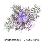 watercolor drawing of twig with ... | Shutterstock . vector #776537848